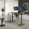 Walnut electric standing desk with gray frame raised to standing height in a bright glass-walled office, with dual monitors, keyboard, mouse, a white mobile filing cabinet, a black active stool and a striped rug.